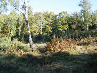 Kamerabilder_0009