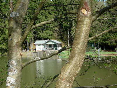 P1000140
